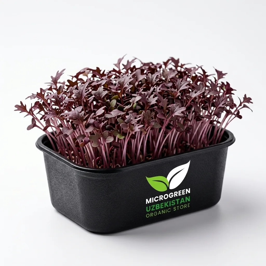Микрозелень Мизуна красная